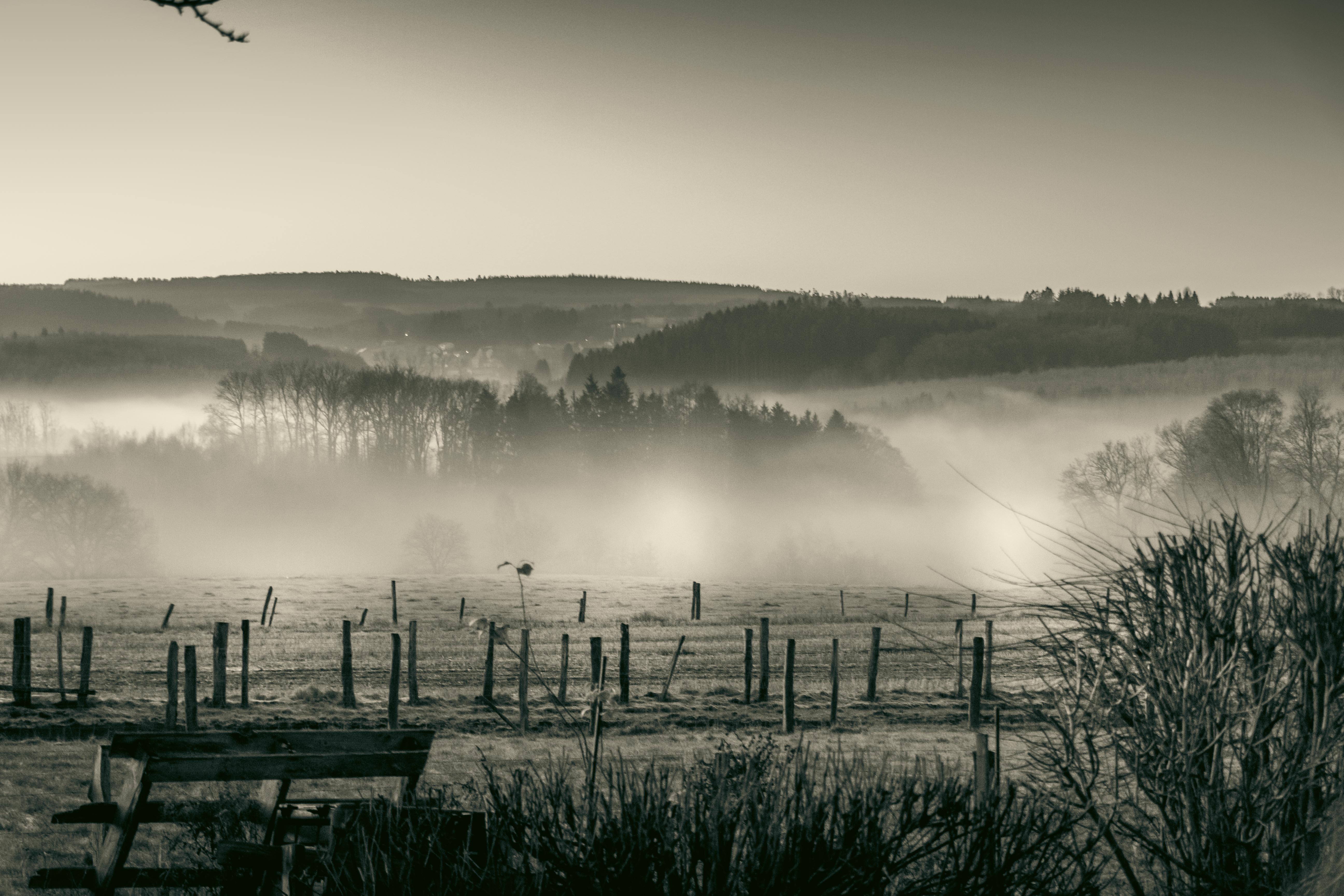 Brume matinale.jpg